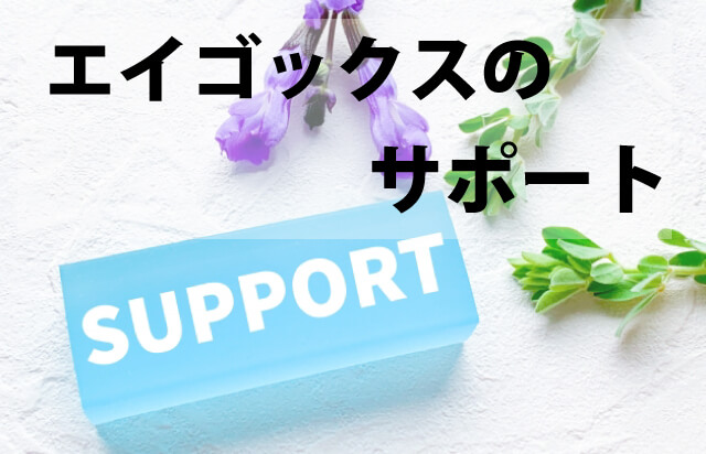 eigox-support