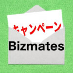 bizmates-campaign