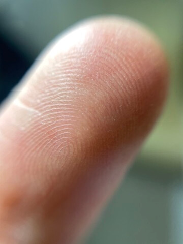 指の指紋
